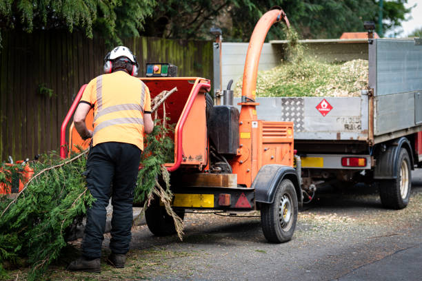 Best Residential Tree Removal  in Oxon Hill, MD